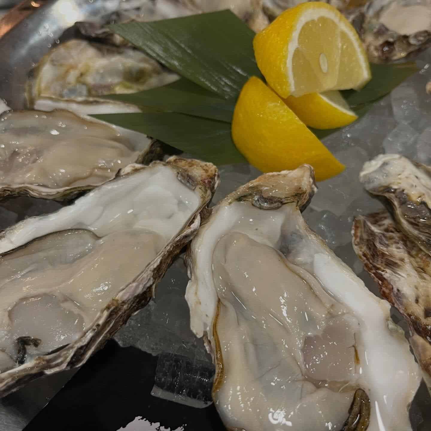 【3/12本日の生牡蠣】牡蠣/生牡蠣/静岡駅/静岡/ランチ/ディナー/昼呑み/地産地消/駐車場/ワイン/新年会/飲み放題