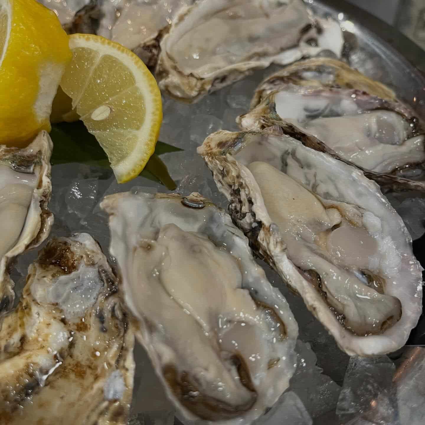 【大きくなった安芸津産！】牡蠣/生牡蠣/静岡駅/静岡/ランチ/ディナー/昼呑み/地産地消/駐車場/ワイン/送別会/歓迎会…