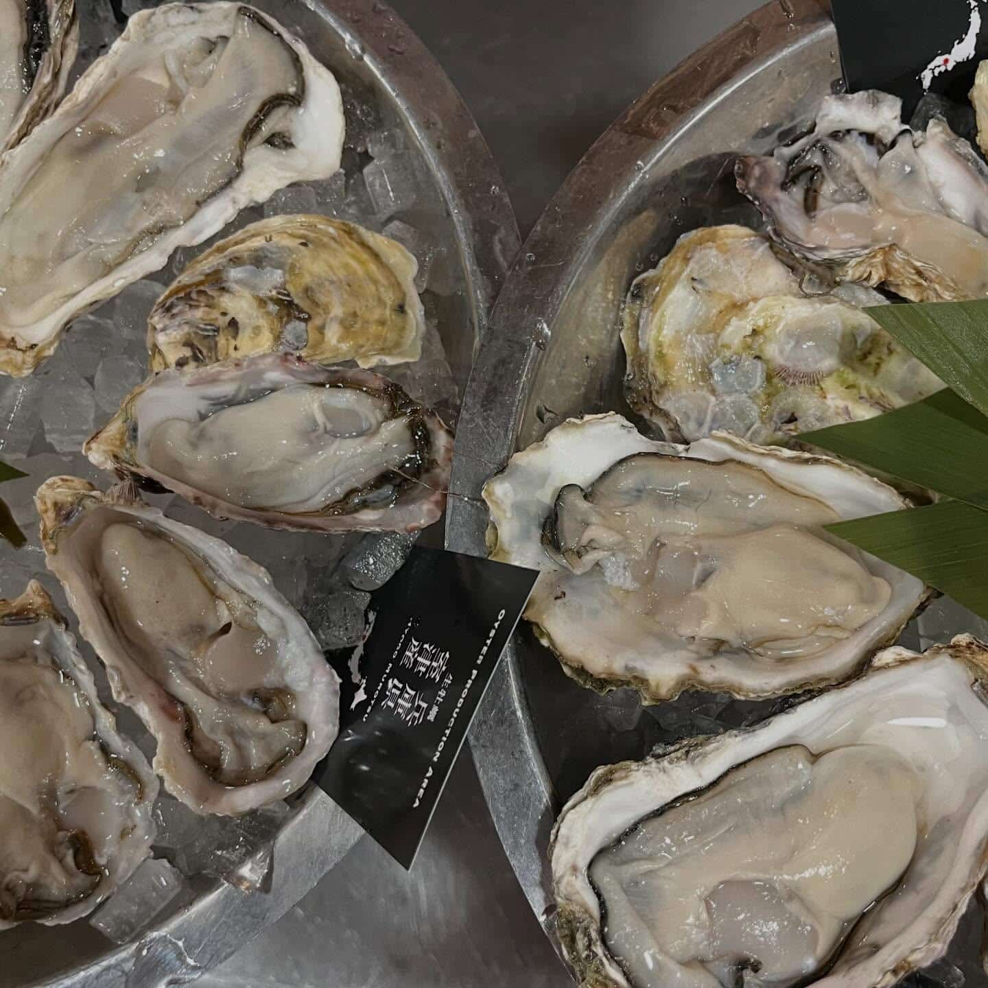 【静岡駅直結ビル！駅近でサクッと飲み！】牡蠣/生牡蠣/静岡駅/静岡/ランチ/ディナー/昼呑み/地産地消/駐車場/ワイン/…