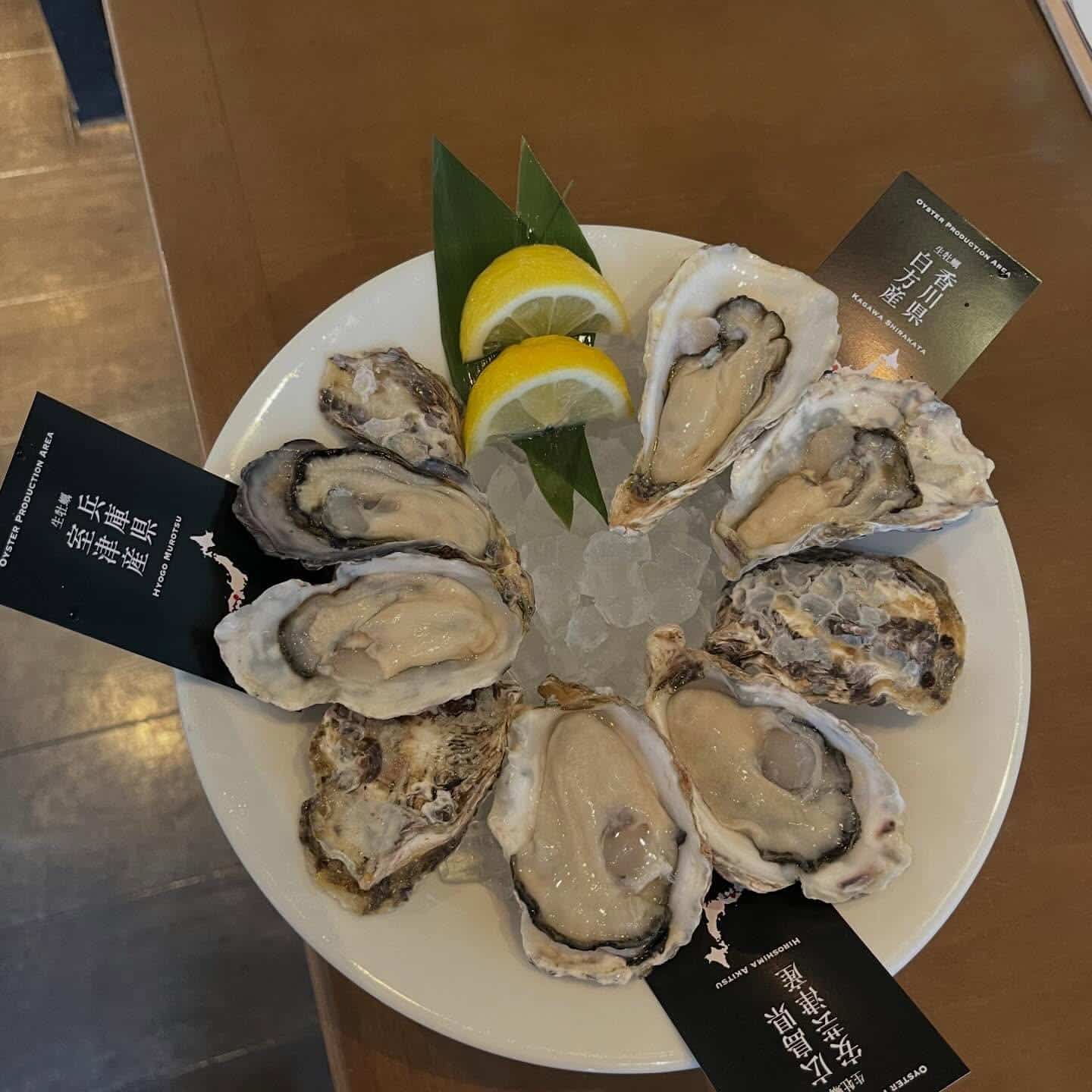 【歓送迎会にも！貸切もご相談ください！】牡蠣/生牡蠣/静岡駅/静岡/ランチ/ディナー/昼呑み/地産地消/駐車場/ワイン/…