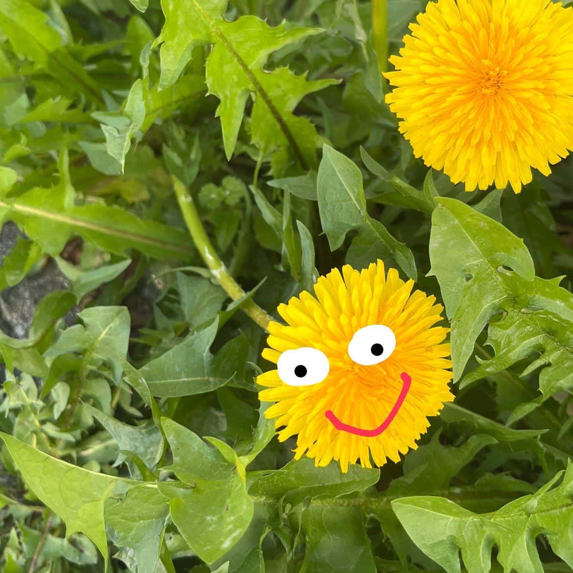 【最盛期にむけてスクスク成長中!】牡蠣/生牡蠣/静岡駅/静岡/ランチ/ディナー/昼呑み/地産地消/駐車場/ワイン/送別会…