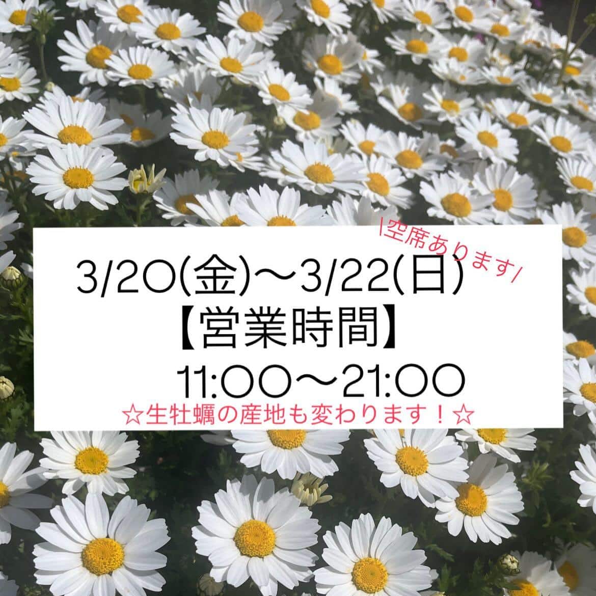 【三連休は毎日通し営業です!11:00〜21:00】牡蠣/生牡蠣/静岡駅/静岡/ランチ/ディナー/昼呑み/地産地消/駐車…