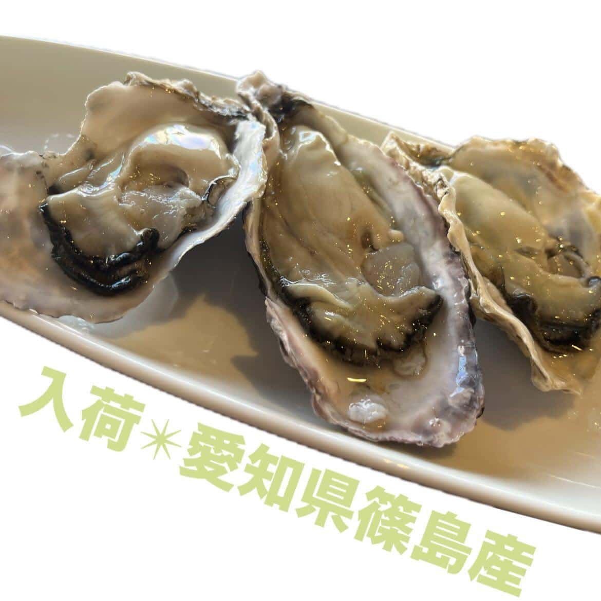 【生牡蠣が食べれなくても！豊富な牡蠣メニューでお待ちし過ぎています！】牡蠣/生牡蠣/静岡駅/静岡/ランチ/ディナー/昼呑…