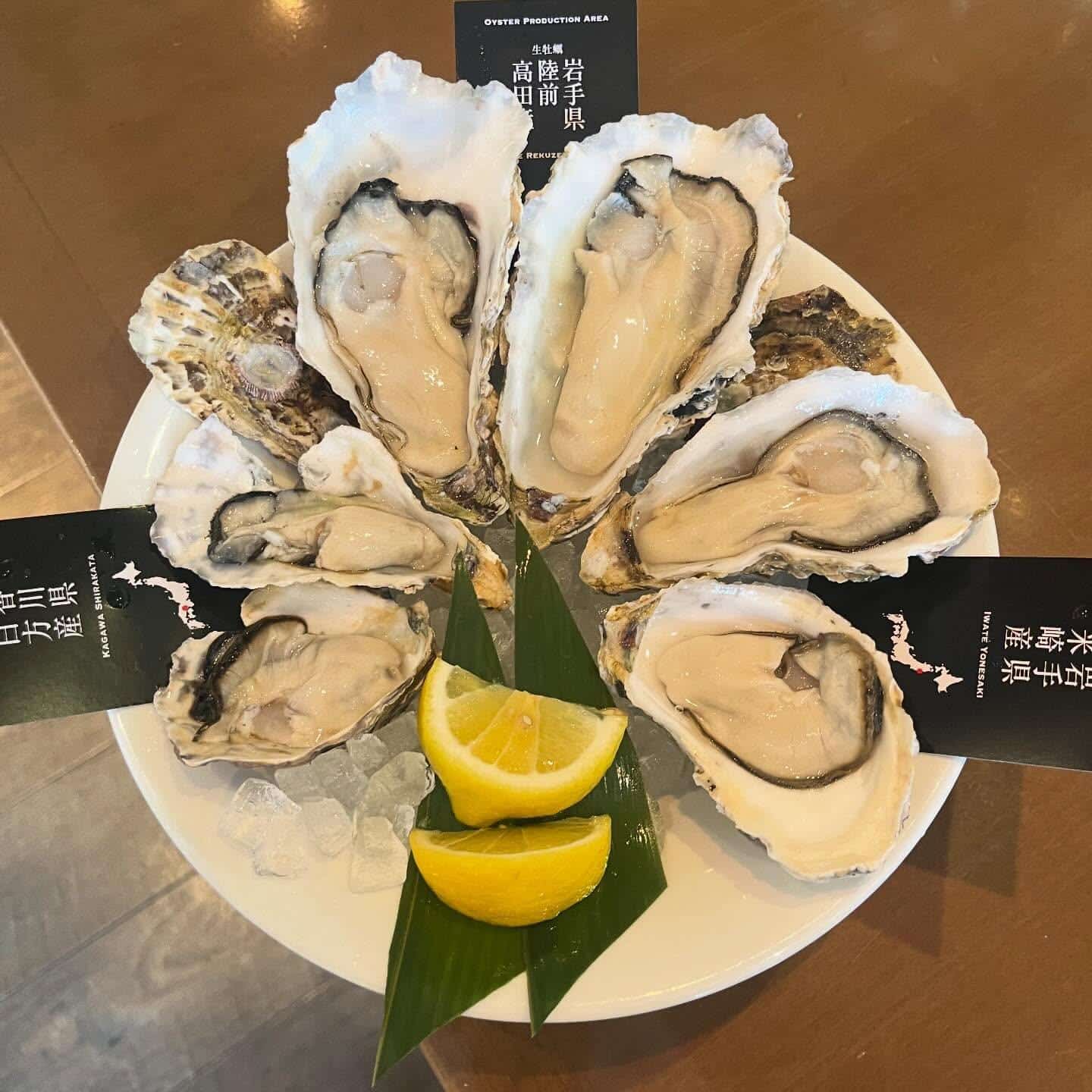 【3/30食べ尽くしセットがお得】牡蠣/生牡蠣/静岡駅/静岡/ランチ/ディナー/昼呑み/地産地消/駐車場/ワイン/送別会…