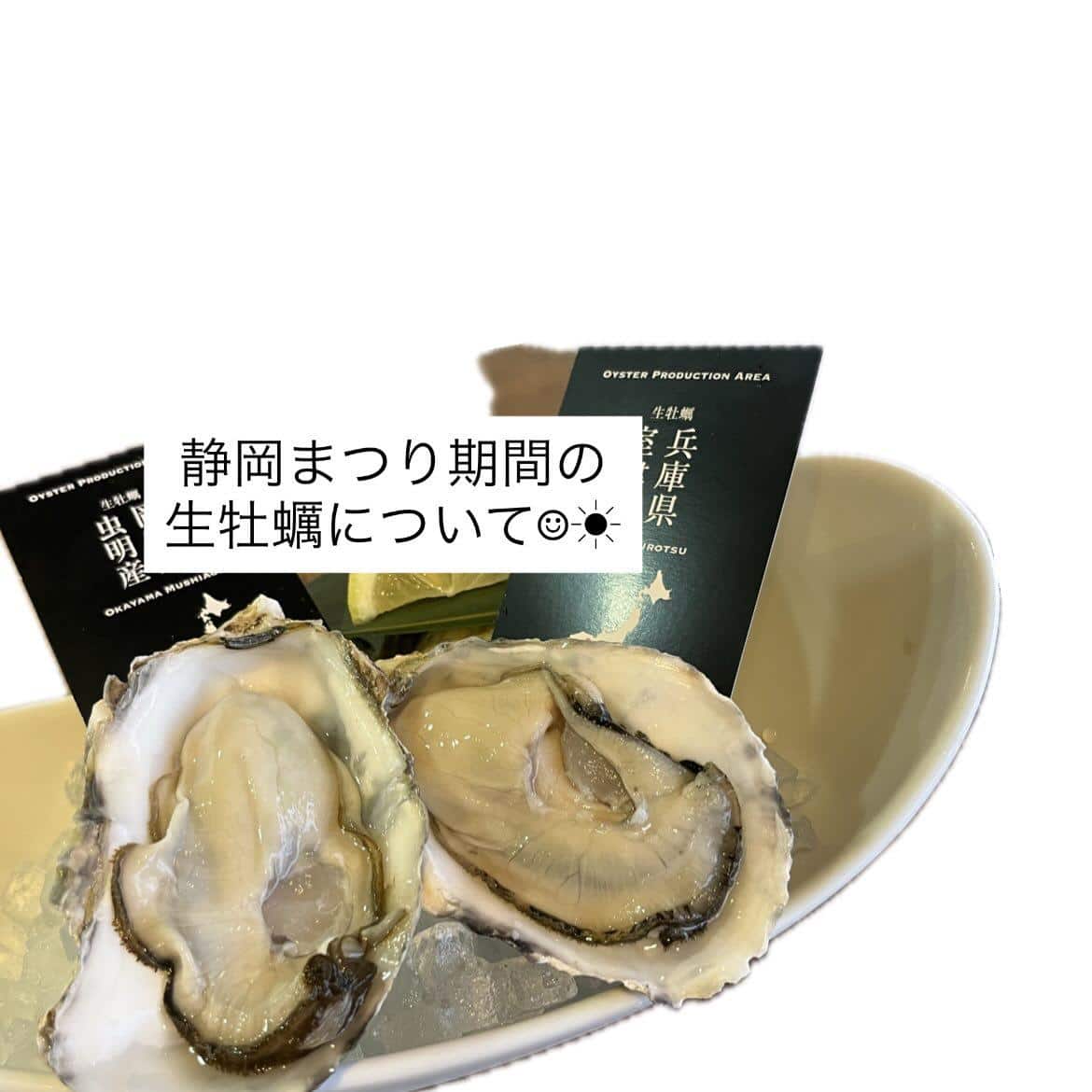 【もうすぐ静岡祭り！！】牡蠣/生牡蠣/静岡駅/静岡/ランチ/ディナー/昼呑み/地産地消/駐車場/ワイン/送別会/歓迎会/…