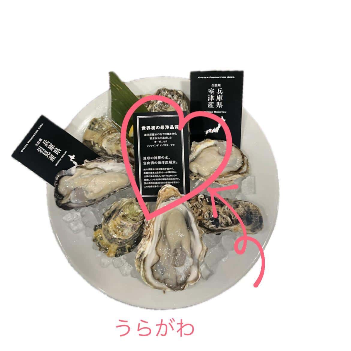 【安心安全な理由が牡蠣札の裏に書いてあります！】牡蠣/生牡蠣/静岡駅/静岡/ランチ/ディナー/昼呑み/地産地消/駐車場/…