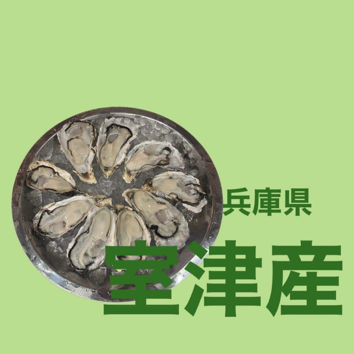 【本日の生牡蠣】牡蠣/生牡蠣/静岡駅/静岡/ランチ/ディナー/昼呑み/地産地消/駐車場/ワイン/送別会/歓迎会/お祝いご…