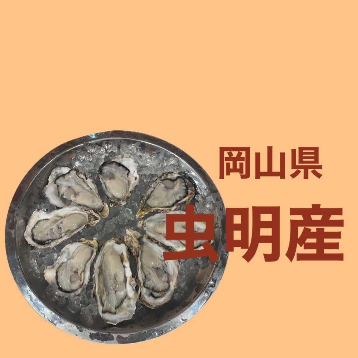 【本日の生牡蠣。虫明産ラストデー】牡蠣/生牡蠣/静岡駅/静岡/ランチ/ディナー/昼呑み/地産地消/駐車場/ワイン/送別会…