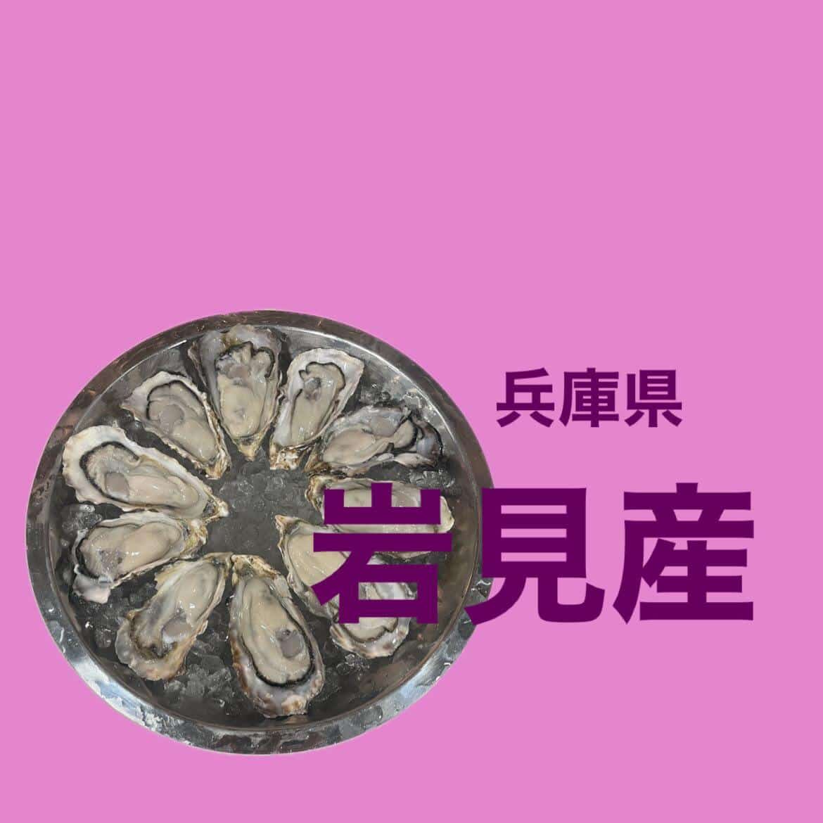 【本日の生牡蠣。虫明産ラストデー】牡蠣/生牡蠣/静岡駅/静岡/ランチ/ディナー/昼呑み/地産地消/駐車場/ワイン/送別会…