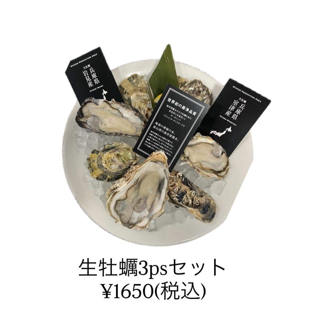 【生牡蠣をもっと身近に!】牡蠣/生牡蠣/静岡駅/静岡/ランチ/ディナー/昼呑み/地産地消/駐車場/ワイン/送別会/歓迎会…