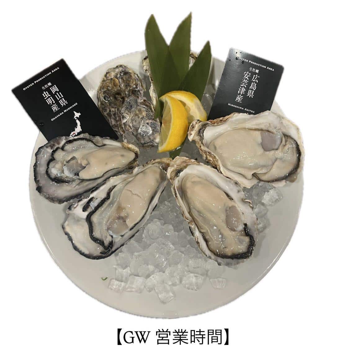 【4/29〜5/6は毎日11:00〜21:00で営業中】牡蠣/生牡蠣/静岡駅/静岡/ランチ/ディナー/昼呑み/地産地消/…