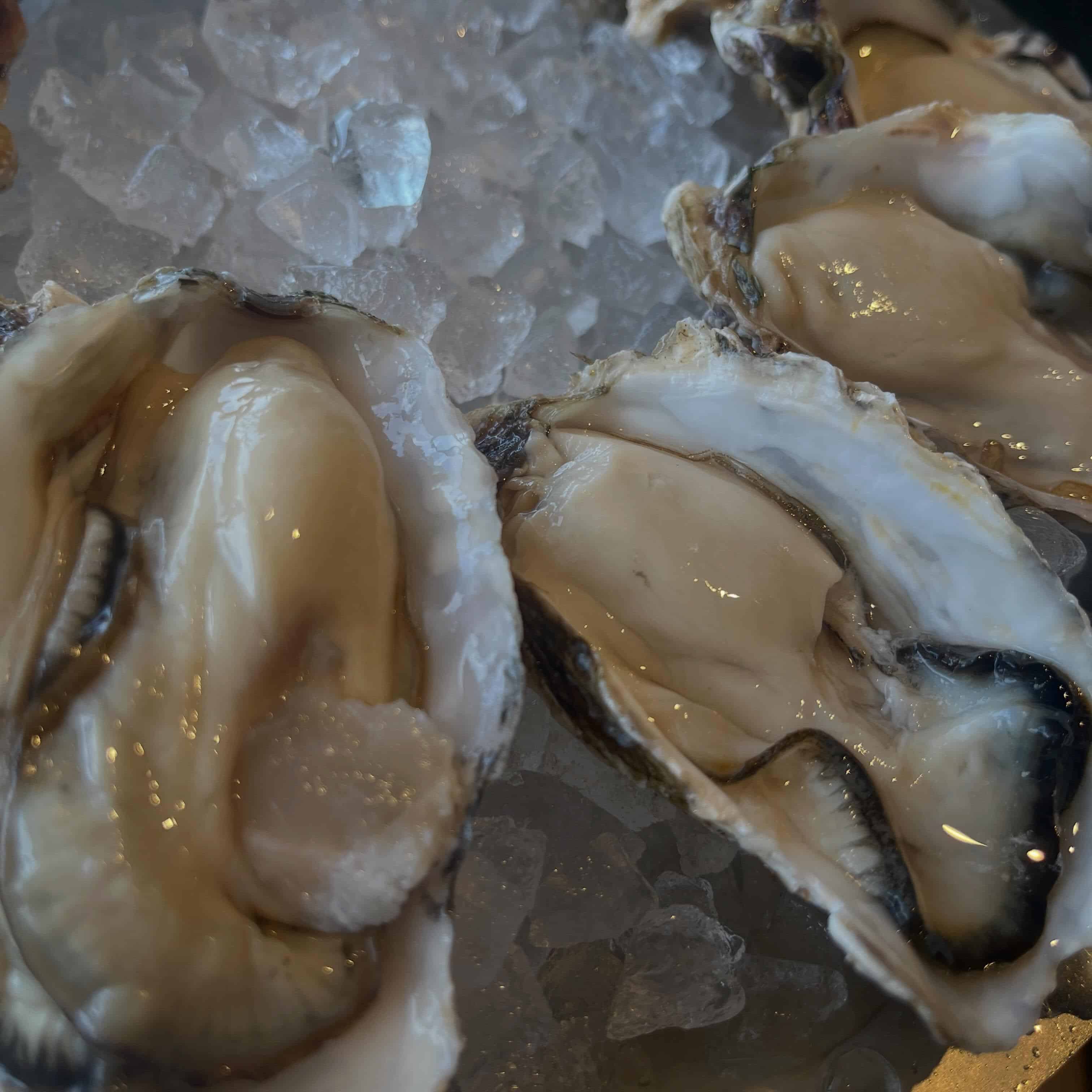 ランチは定食しかないんですか？？と