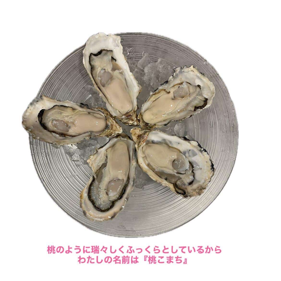 【数量限定!待望の三重県桃取産生牡蠣!!】牡蠣/生牡蠣/静岡駅/静岡/ランチ/ディナー/昼呑み/地産地消/駐車場/ワイン…