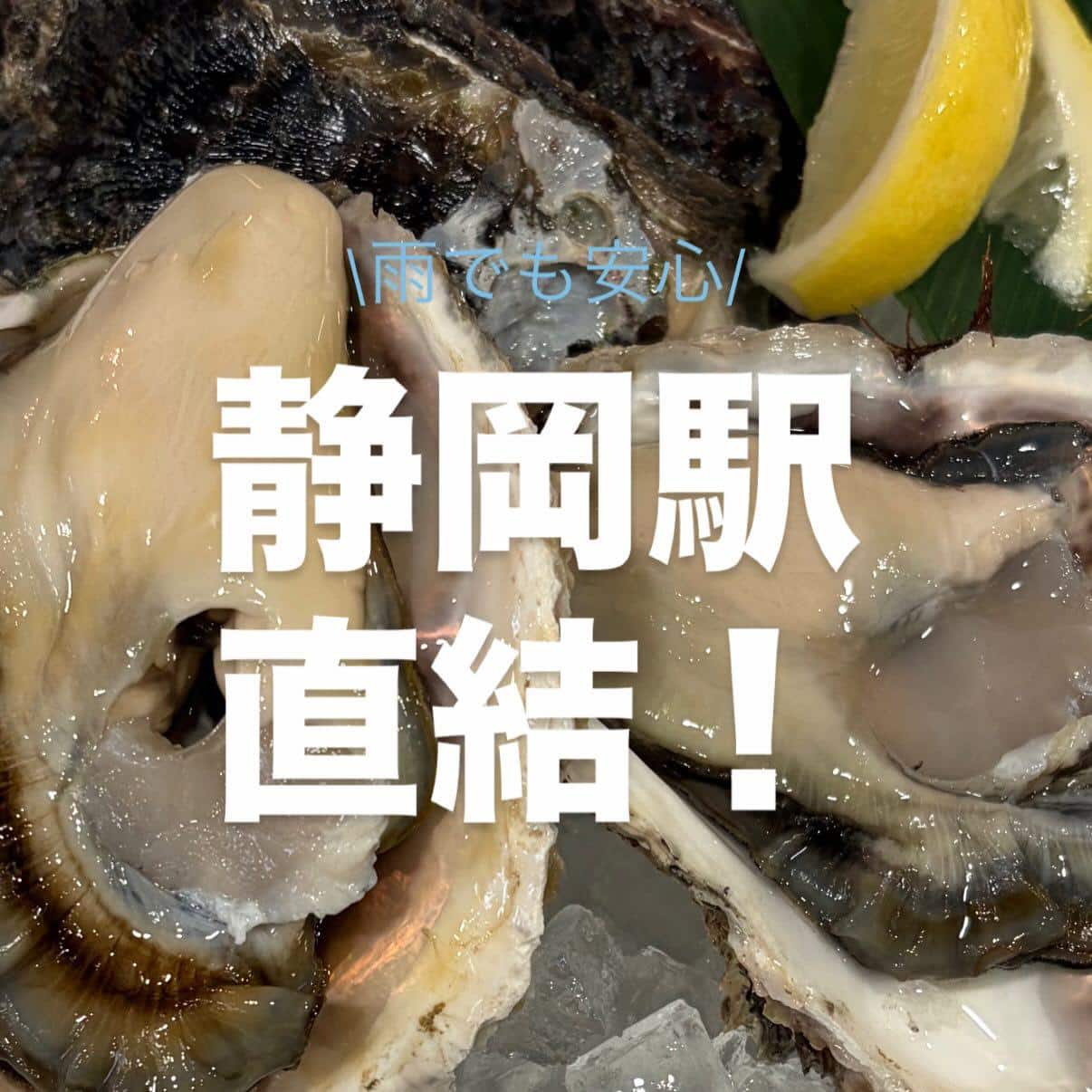 【真牡蠣も岩牡蠣も1個でも100個でも。】牡蠣/生牡蠣/静岡駅/静岡/ランチ/ディナー/昼呑み/駐車場/ワイン/日本酒