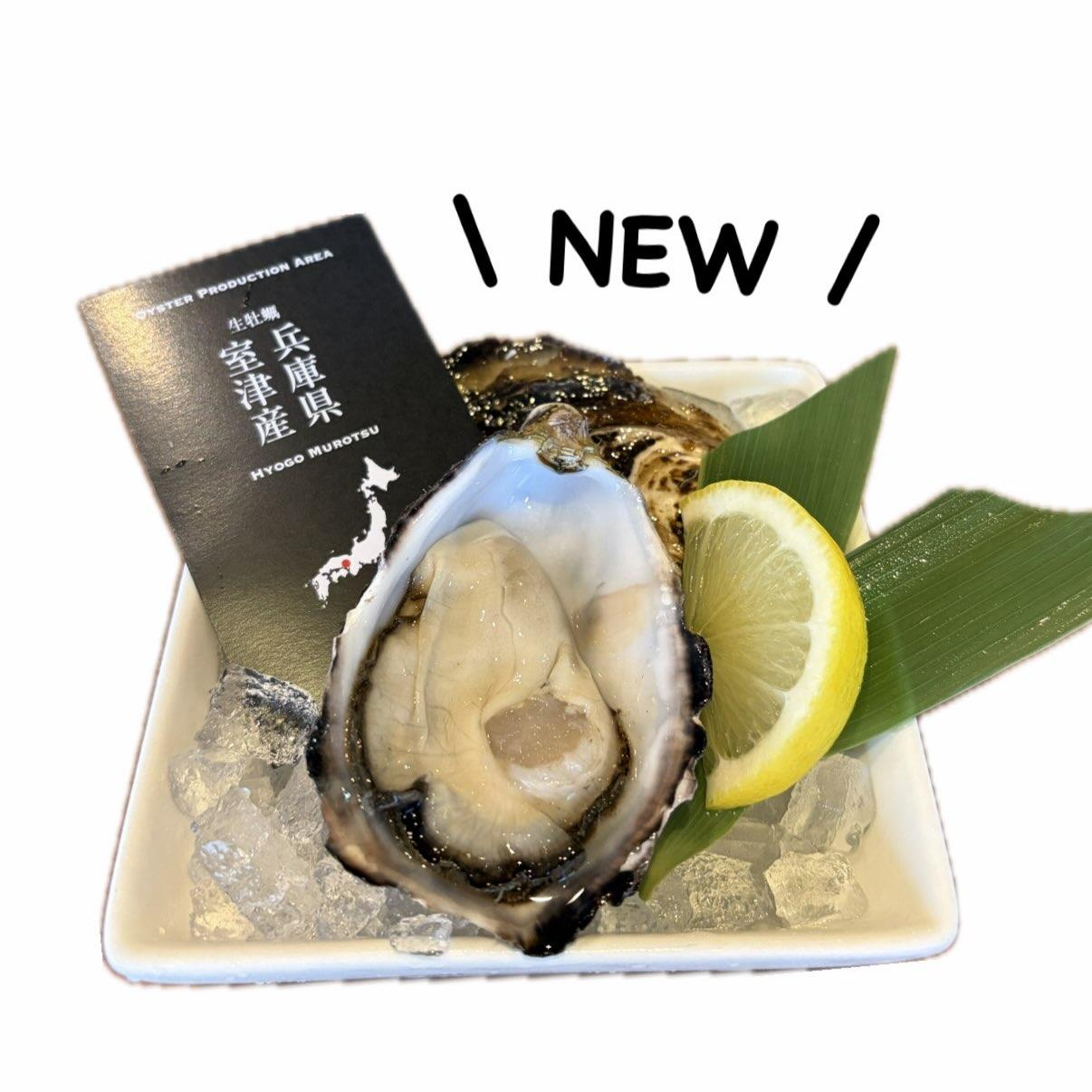 【ニュー！兵庫県室津産】牡蠣/生牡蠣/静岡駅/静岡/ランチ/ディナー/昼呑み/夏休み/ワイン/日本酒