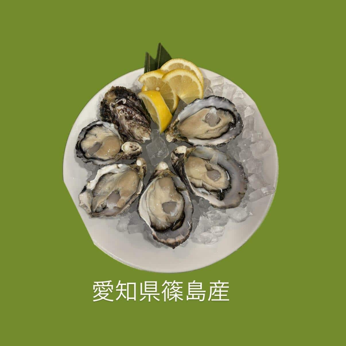 【大きくなった篠島産】牡蠣/生牡蠣/静岡駅/静岡/ランチ/ディナー/昼呑み/シルバーウィーク/ワイン/日本酒